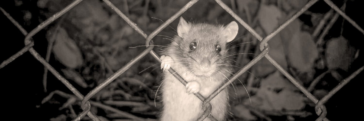 Tuomas Aivelo @aivelo.bsky.social banner