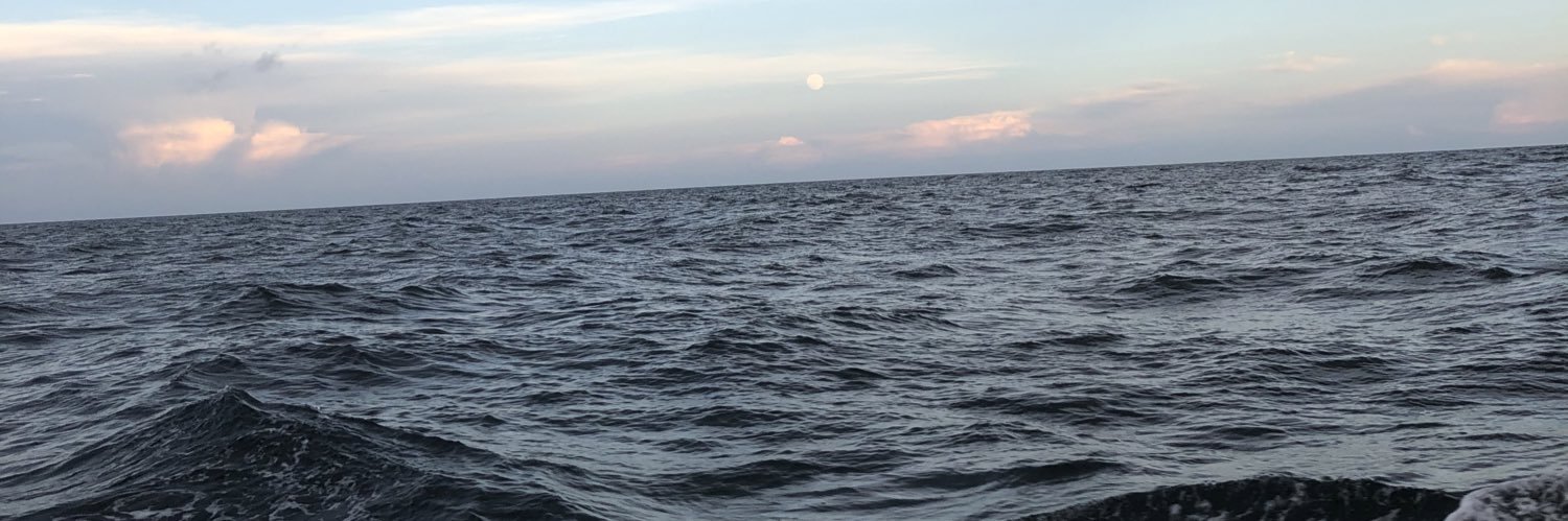 MPL600's profile banner image