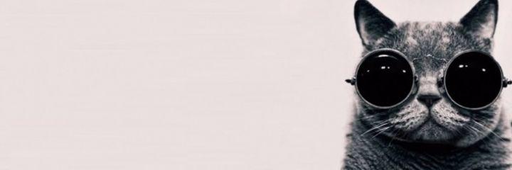 Noeliapese's profile banner image