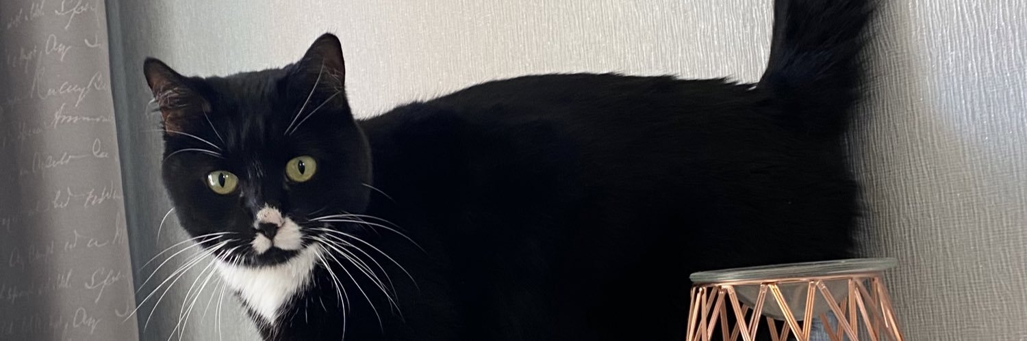 YoliKerry's profile banner image