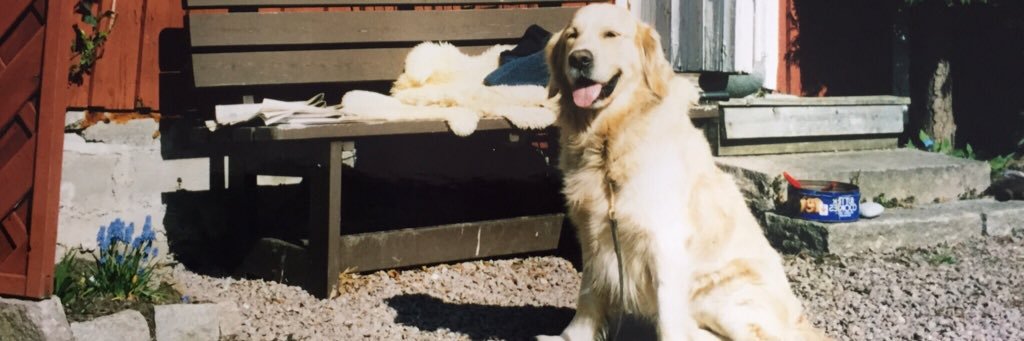 lindquistemelie's profile banner image