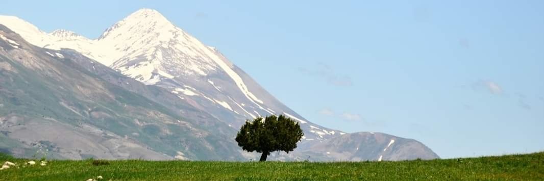 akgul_s's profile banner image