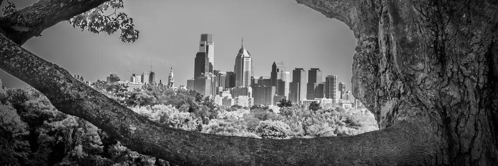 joenose12's profile banner image