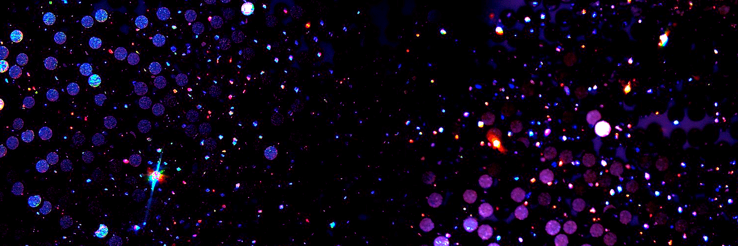 MAHIRO_noir's profile banner image