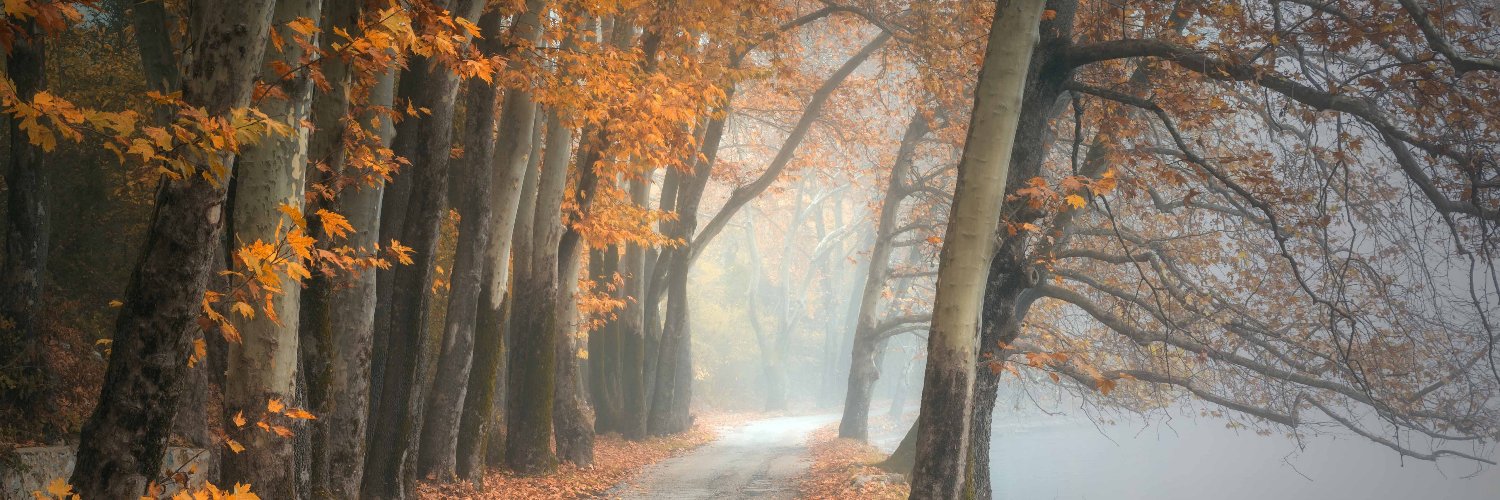 joyce ' karolina banner