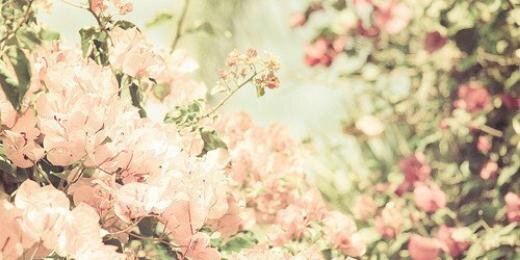 kusjemakdaaa's profile banner image