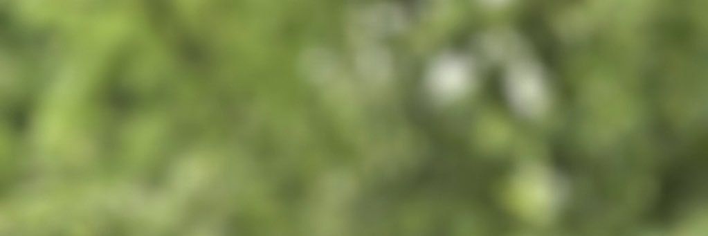 Marsmaedchen's profile banner image