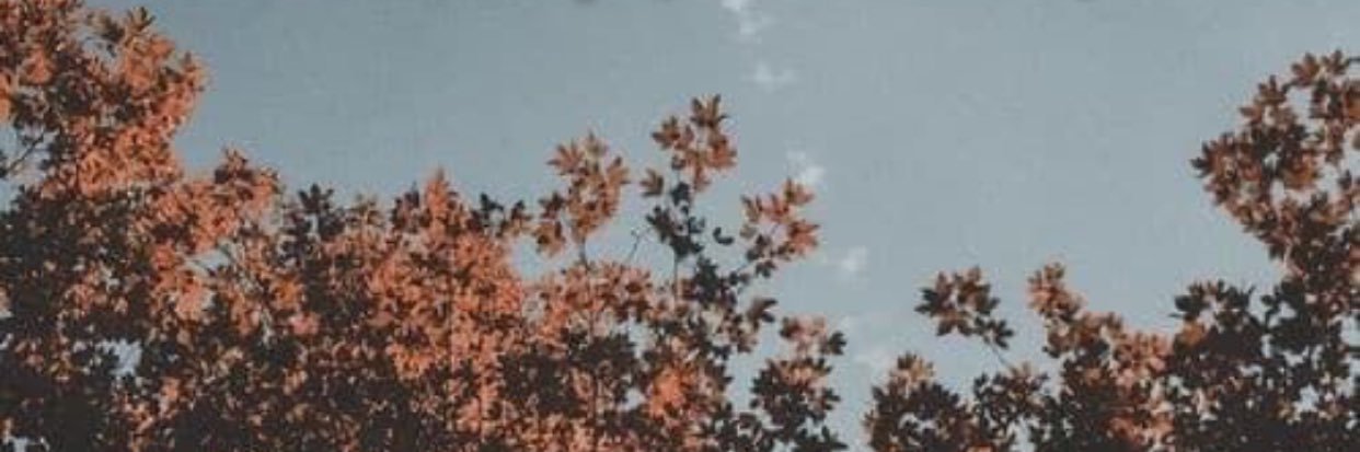 lmalimooo's profile banner image