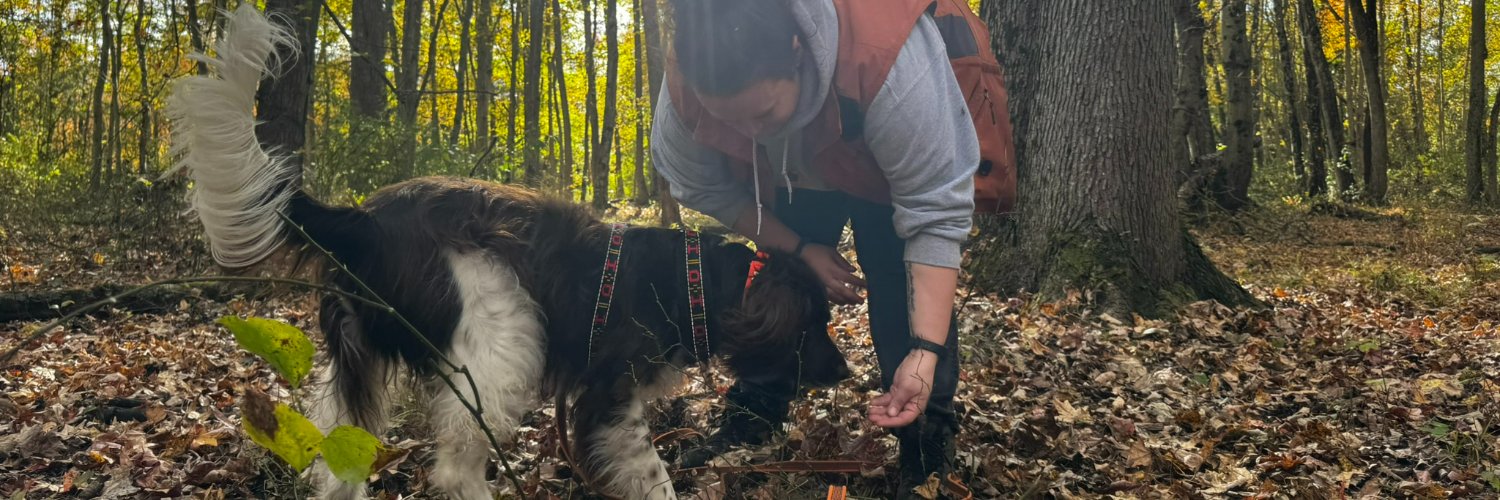 Jennifer Essler banner