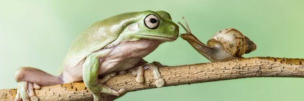 redyellowland Profile Banner