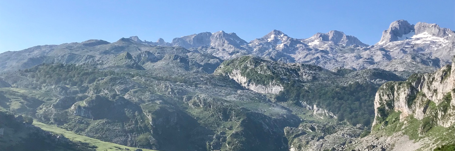 CJacksonBryant's profile banner image