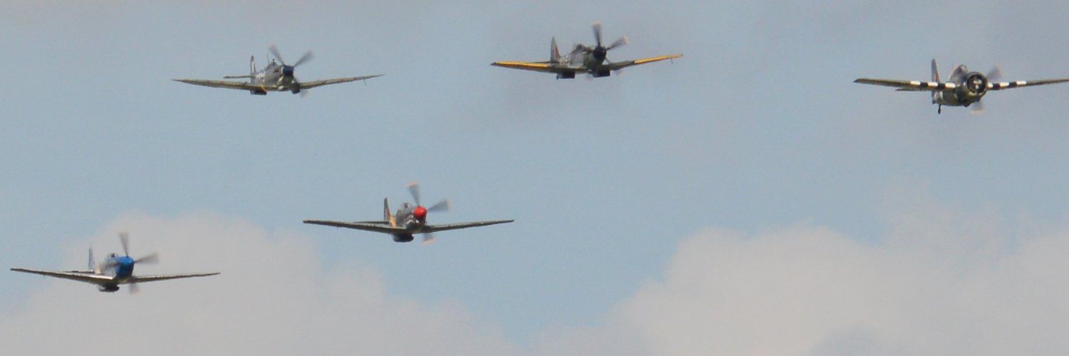 herisson_volant's profile banner image