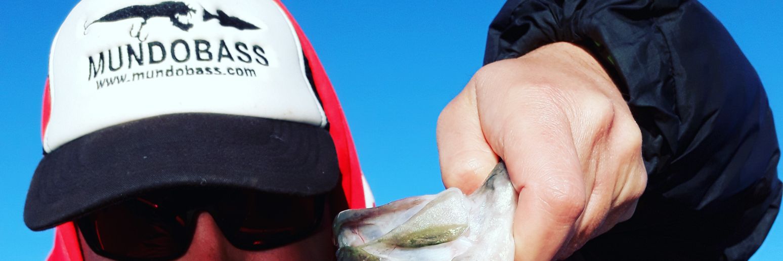 MundoBass's profile banner image