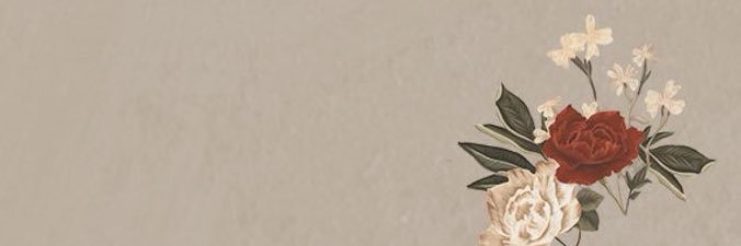 a n a . banner
