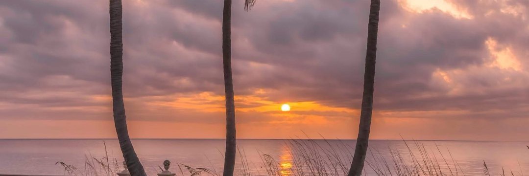 OcalaBuyLocal's profile banner image