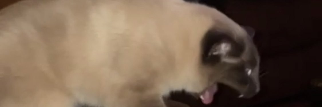 emnawfs's profile banner image