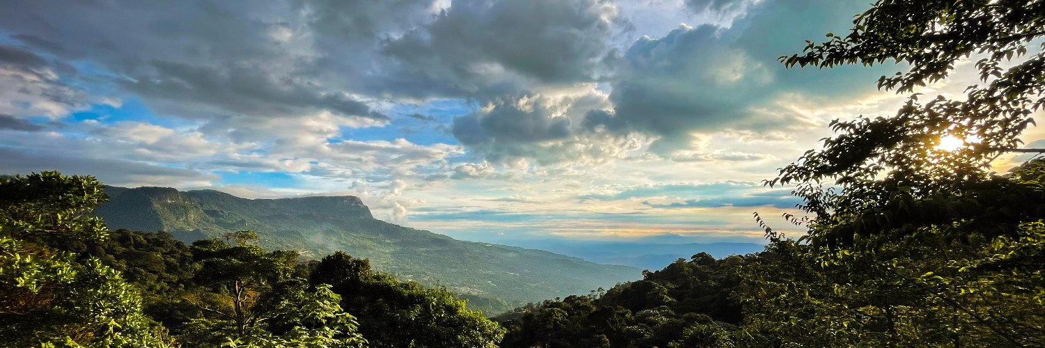 Patrick Brandt banner