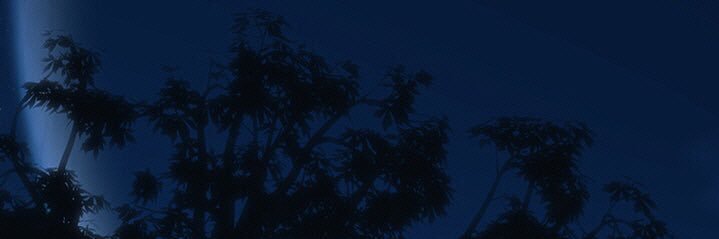 Adiii66's profile banner image
