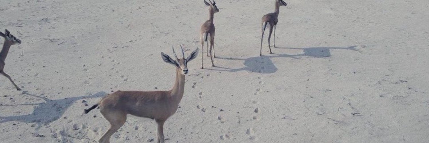 _Deer94's profile banner image