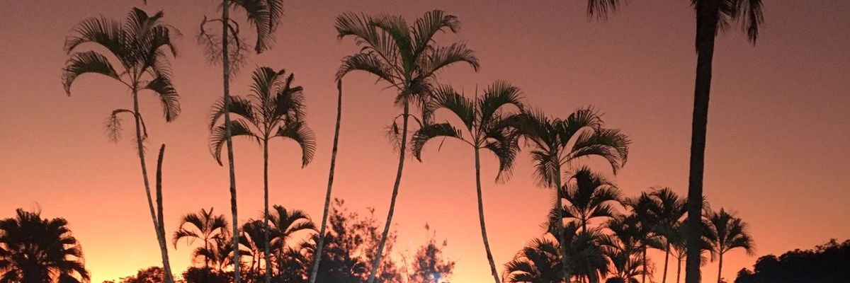 THaYna22_'s profile banner image