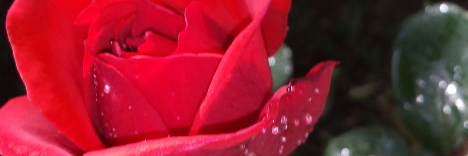 sjackson203's profile banner image