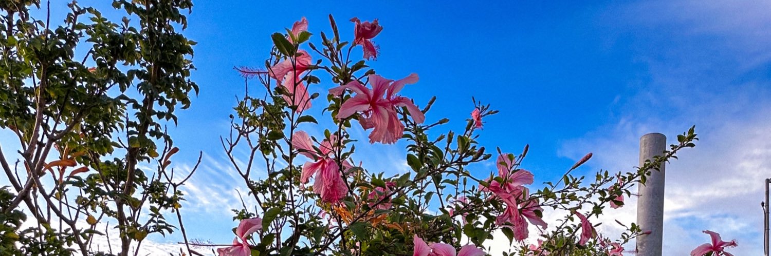 MohammedA. banner