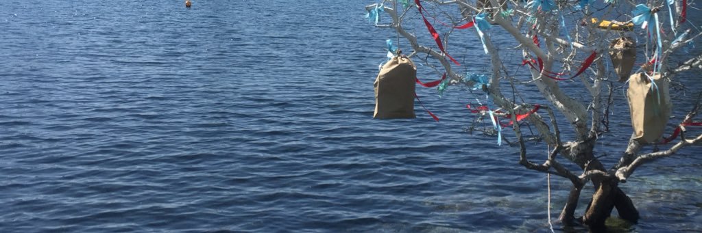 hknfdl's profile banner image