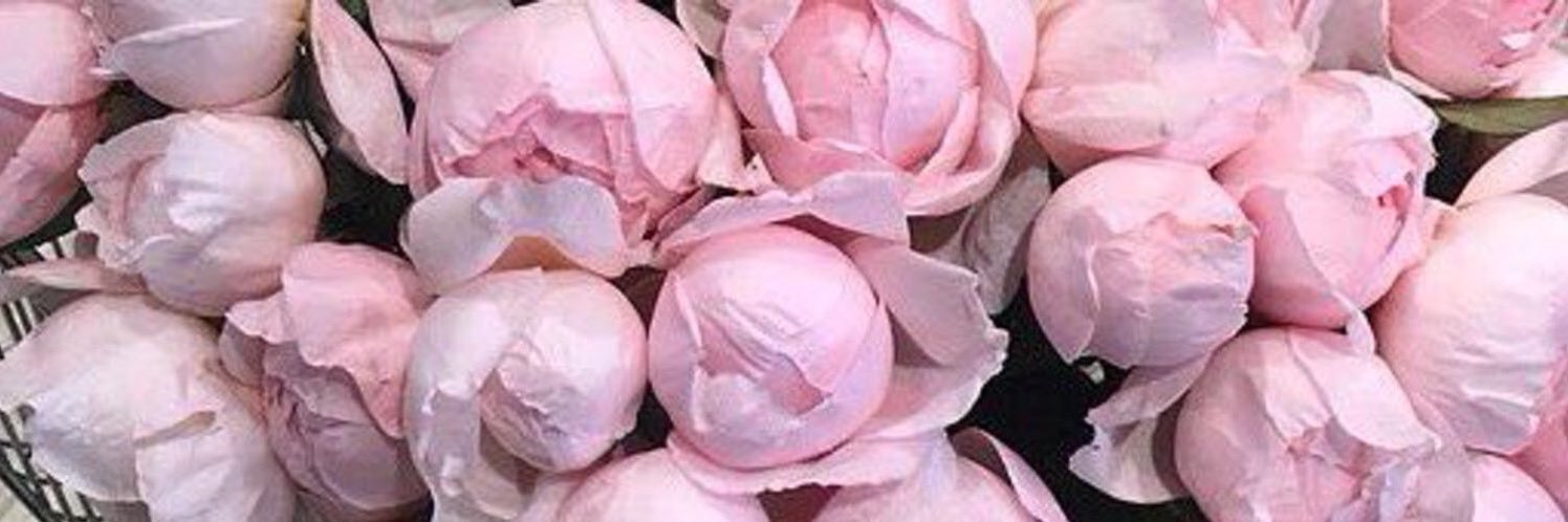 iHananAB's profile banner image