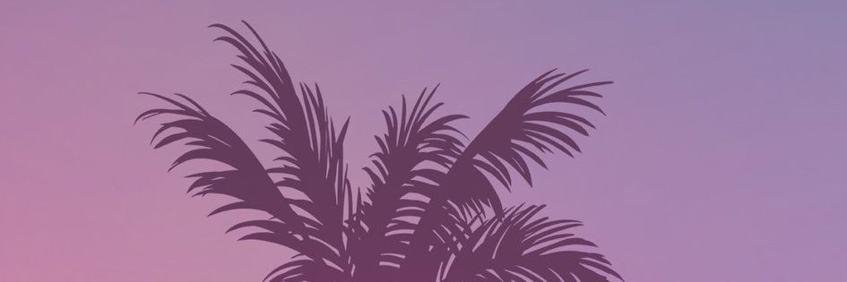 Jack Anatomy banner
