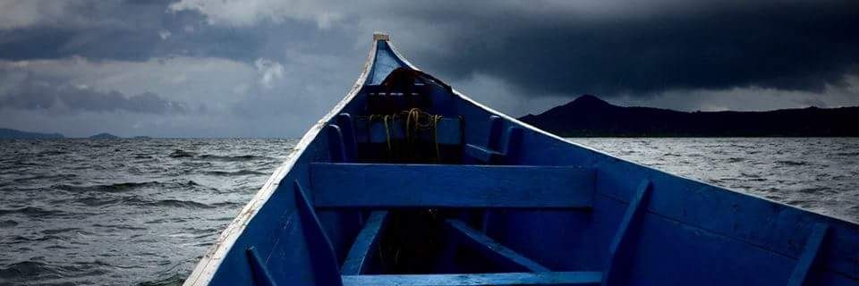 LakeViewFish's profile banner image
