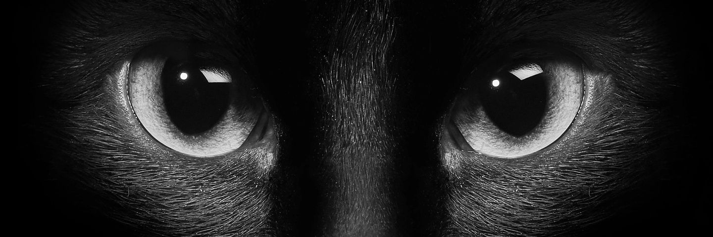 ojomsy's profile banner image