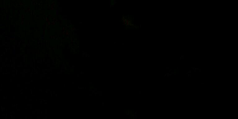 zozo7766's profile banner image