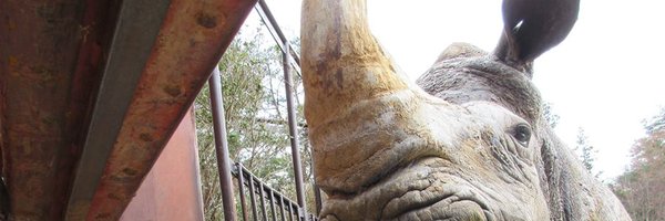 mummymotchee Profile Banner