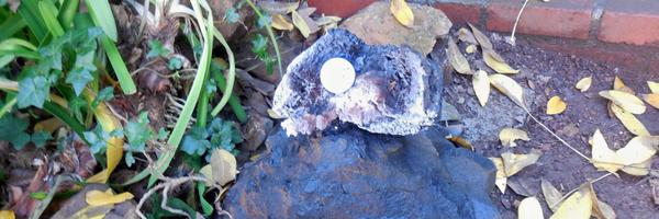 lastact Profile Banner