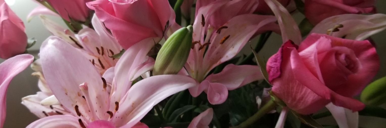 Cheryl ♥️🙏♥️🇺🇸♥️🐕 banner