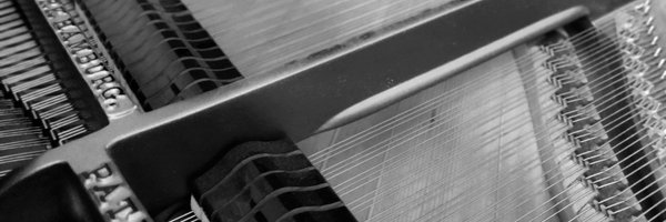 bruno_heinen Profile Banner