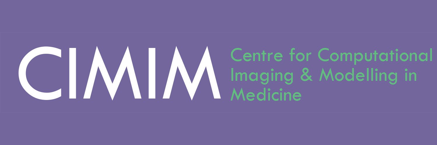 Prof Alejandro Frangi FREng banner