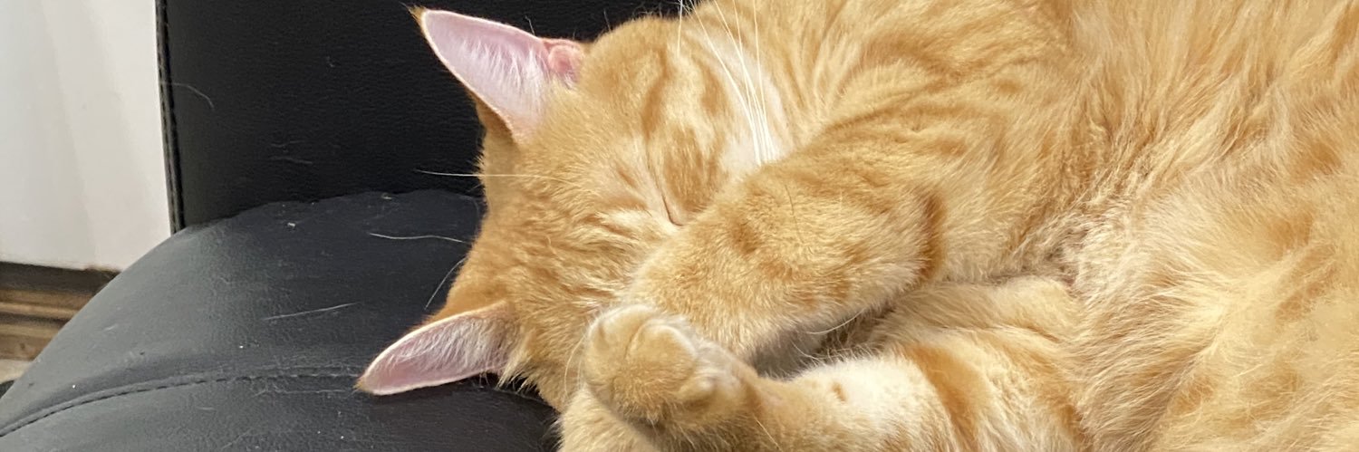 tomias26's profile banner image
