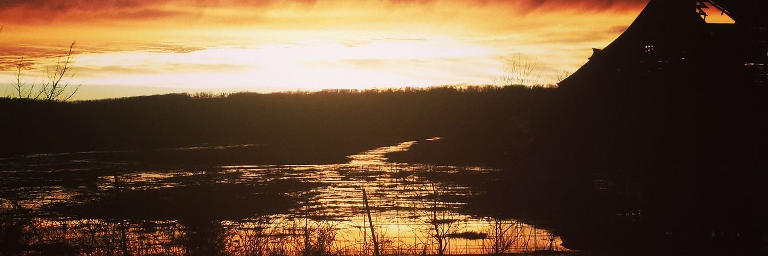 Angela Hughes banner