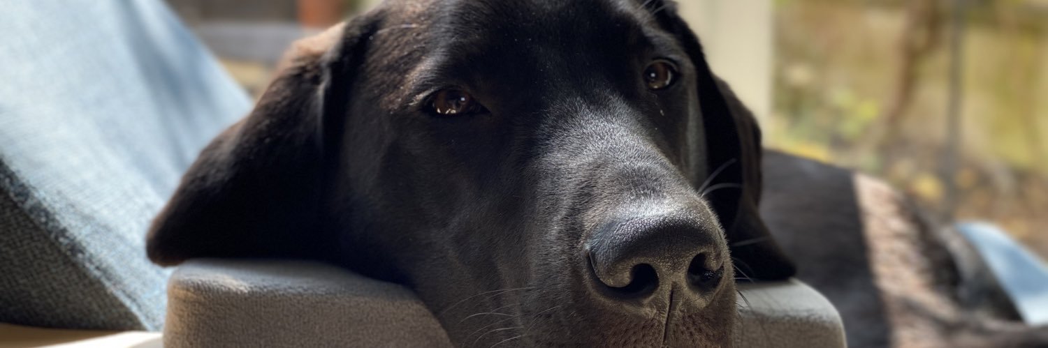 AdamCGoode's profile banner image