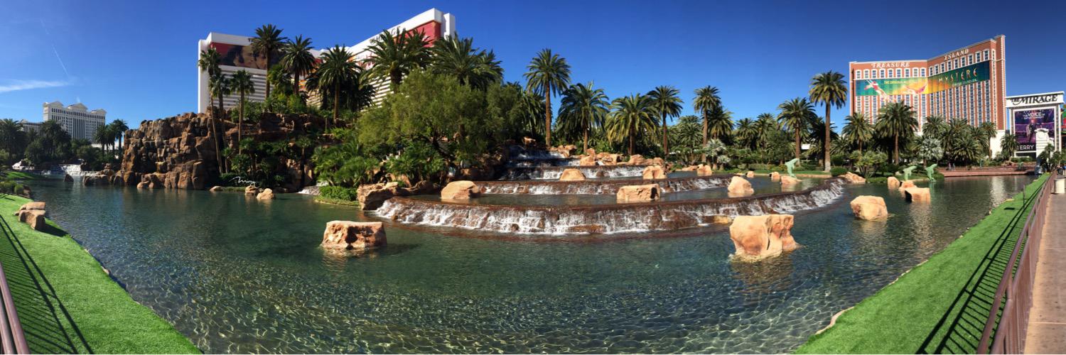 Coady Thomson banner