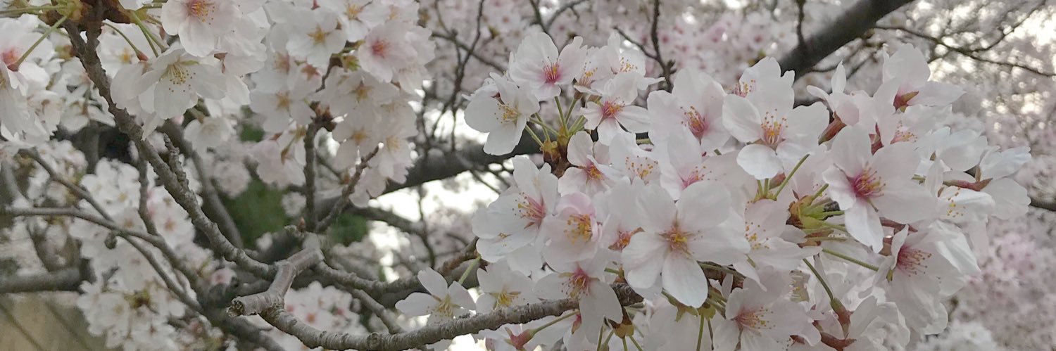 sumikann3576's profile banner image