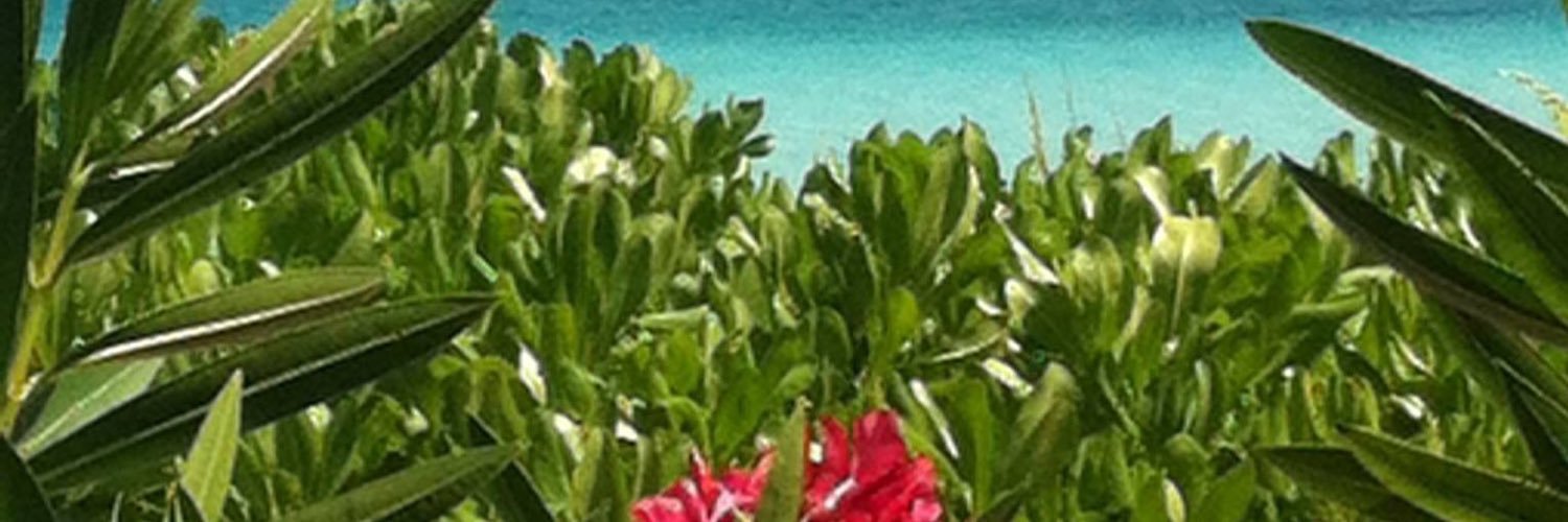 govergator's profile banner image