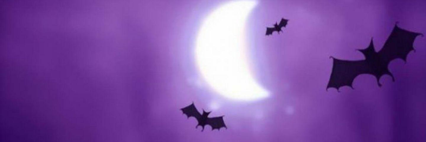Simplysara87's profile banner image