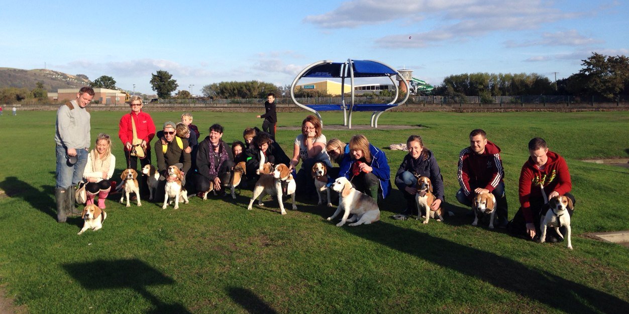 LucyTheBeagle_'s profile banner image