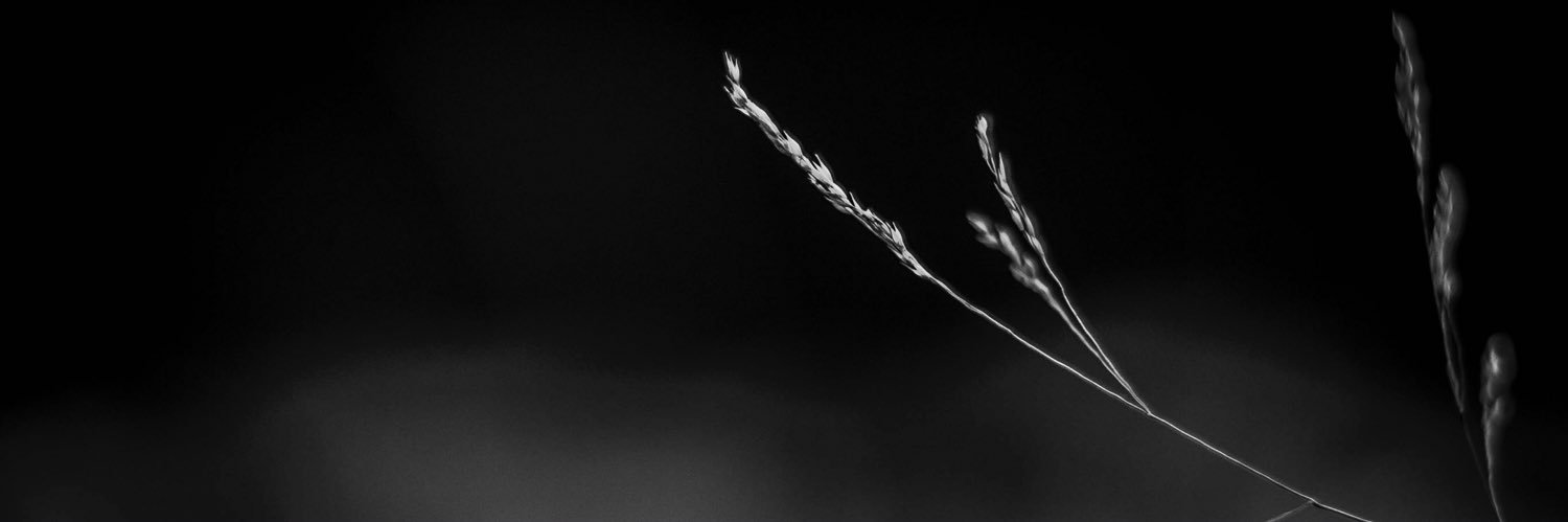evasanfacundo's profile banner image