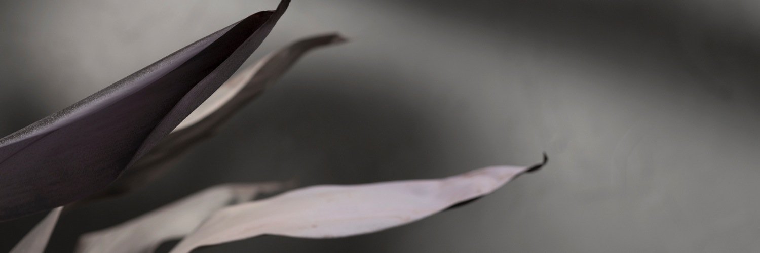 Pale banner