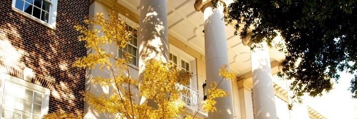 davidotaylor's profile banner image