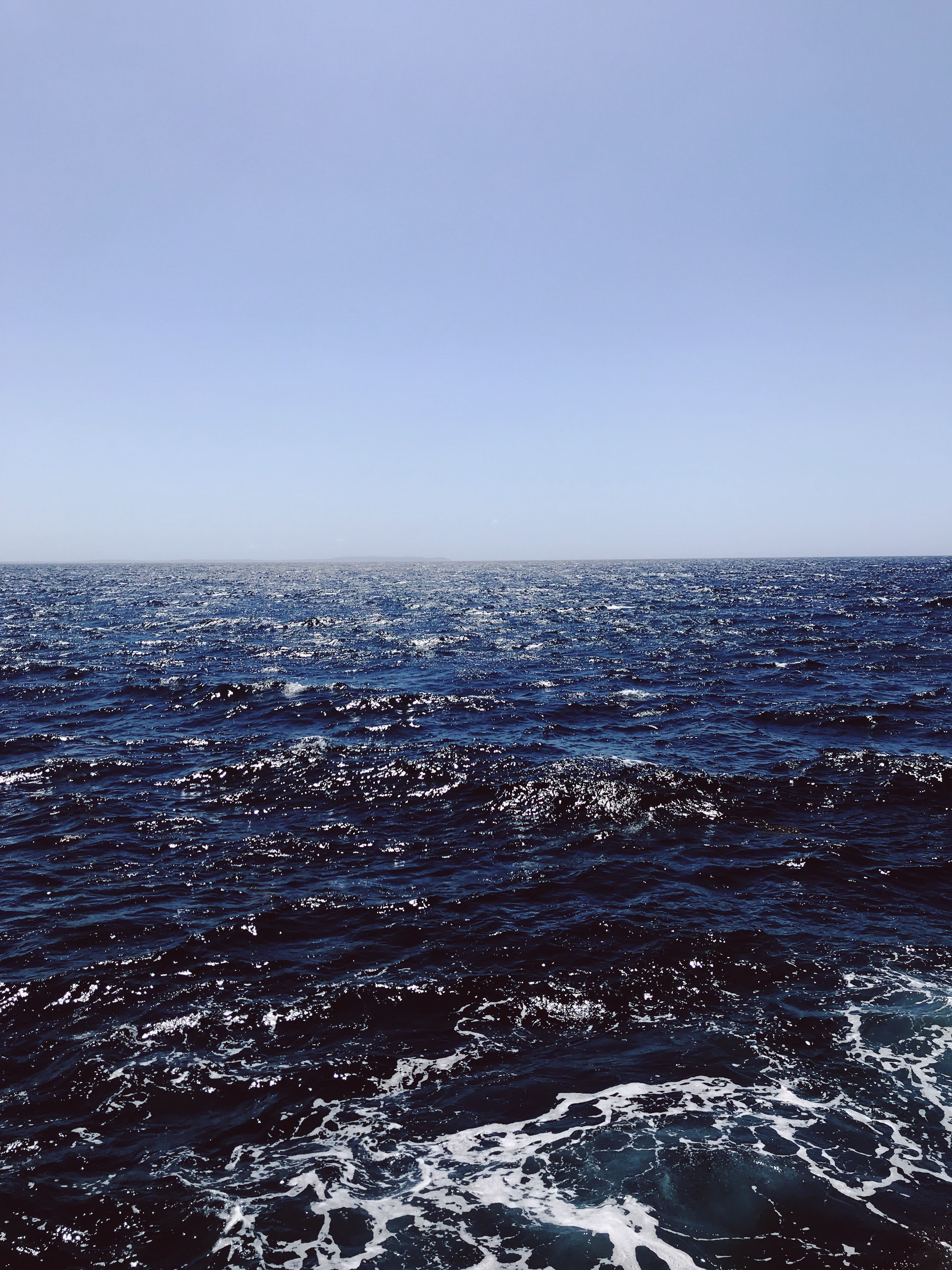 lpnapoli's profile banner image