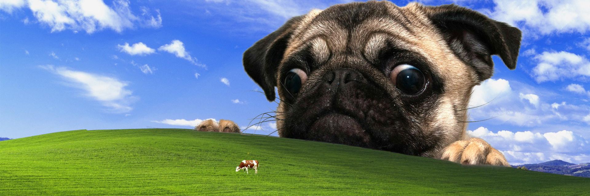 JackCornish95's profile banner image